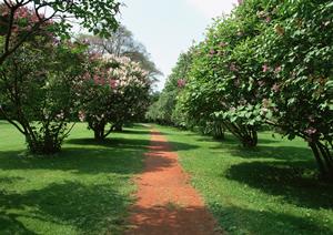 北九州市小倉北区の精神科クリニック