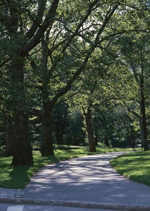 新宿で見つける心療内科：メンタルヘルス改善のための最適な選び方ガイド