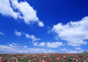 抱えている悩みを気軽に相談できるクリニックです